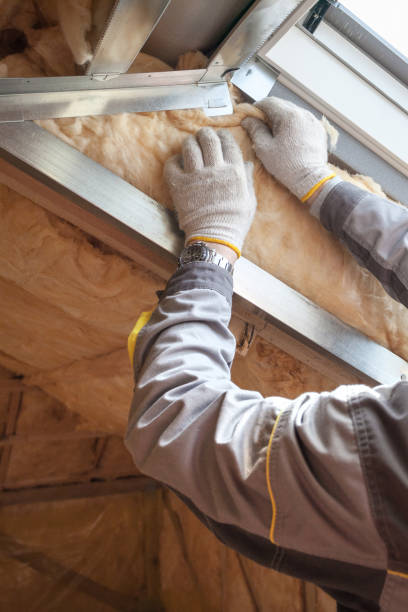 Best Specialized Insulation Services in West Ocean City, MD